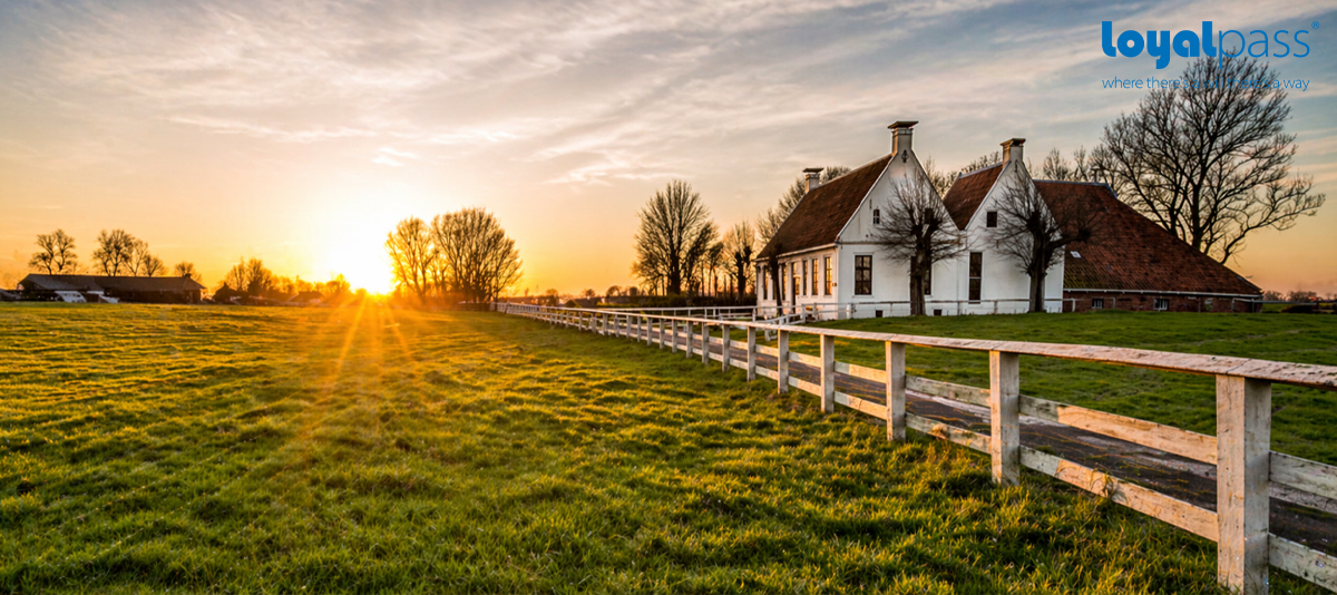 Các yếu tố rủi ro tài chính trong các dự án EB-5 nông thôn